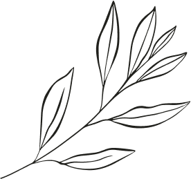 Transparent black leaves outline PNG graphic.